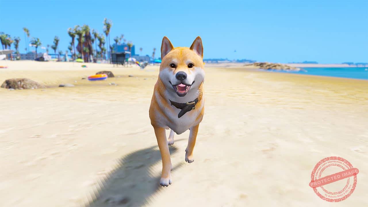 GTA 5 Mods Shiba Inu Dog - GTA 5 Mods Website