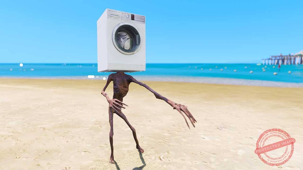 GTA 5 Mods Washing Machine Head
