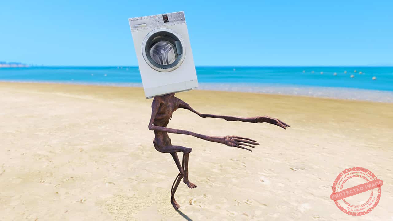 GTA 5 Mods Washing Machine Head