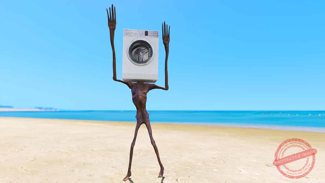 GTA 5 Mods Washing Machine Head
