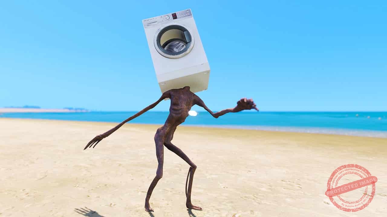 GTA 5 Mods Washing Machine Head