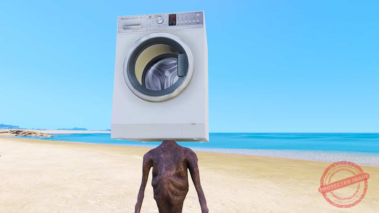 GTA 5 Mods Washing Machine Head