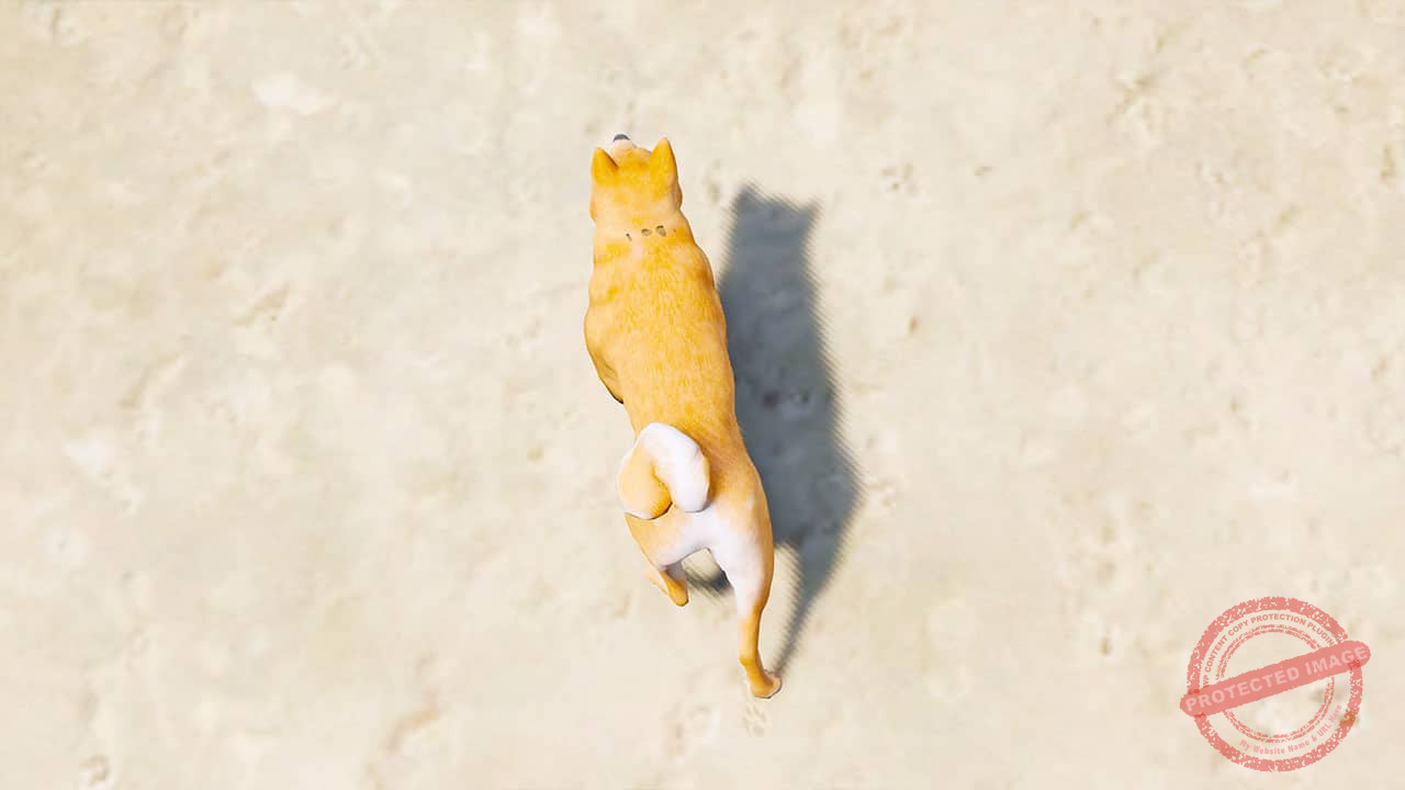 GTA 5 Mods Shiba Inu Dog