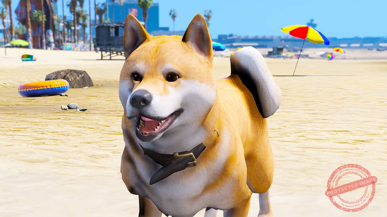 GTA 5 Mods Shiba Inu Dog