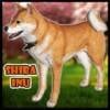 GTA 5 Mods Shiba Inu Dog